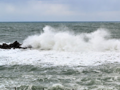 日本海