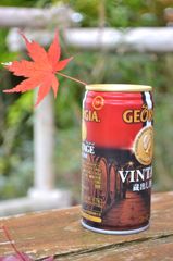 筑波山で一息。。。