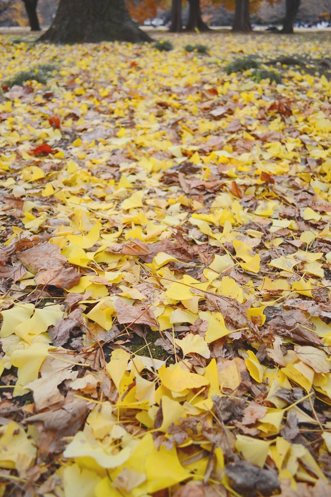 DSC_0004