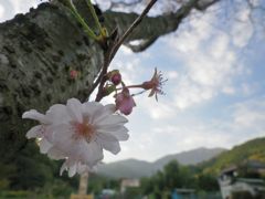 女心と秋の空…