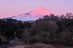 御殿場からの富士山