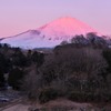 御殿場からの富士山