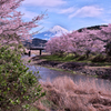 稲瀬川②