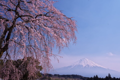 大石寺