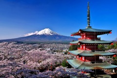 忠霊塔の桜