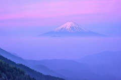 大蔵高丸
