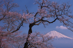 興徳寺