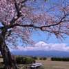 雁公園