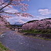 稲瀬川の桜と富士山