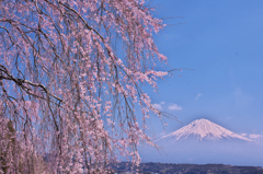 正法寺
