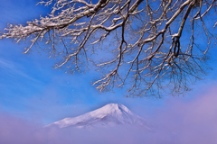 山中湖