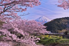 稲瀬川