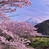 稲瀬川