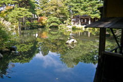 池に写る