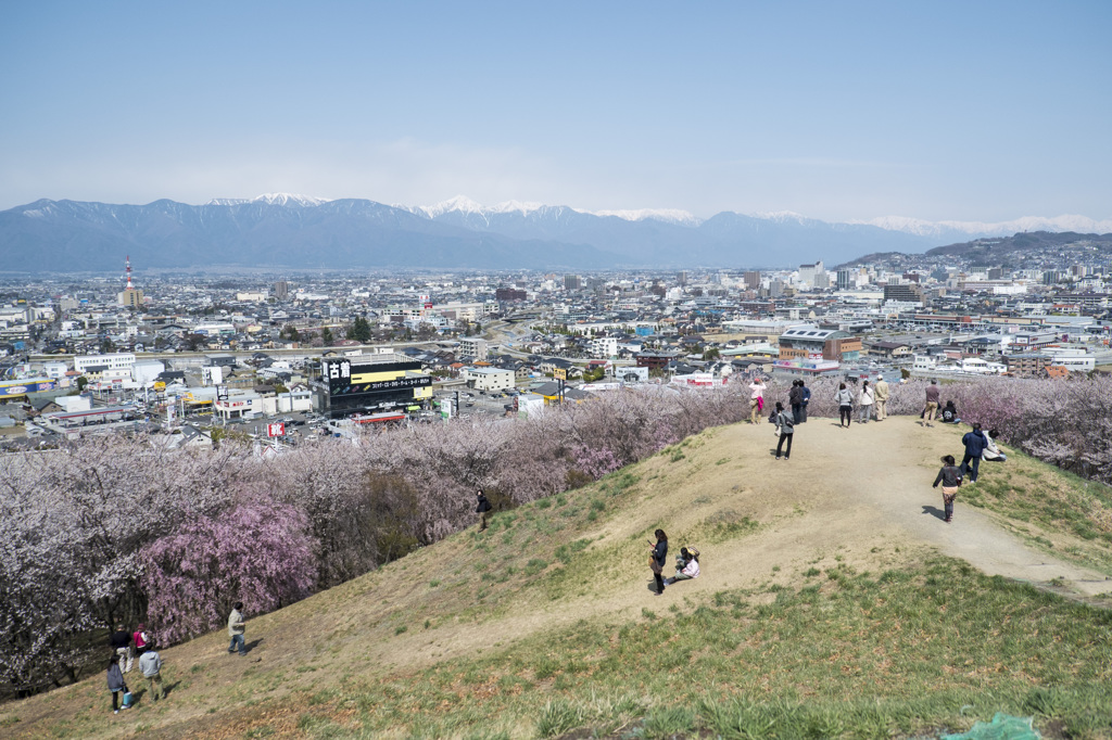 山並み街並み桜並木