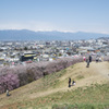山並み街並み桜並木
