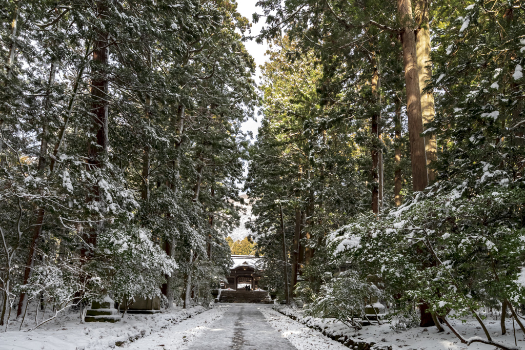 雪の参道