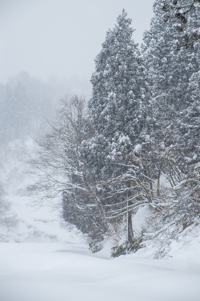 雪降り日