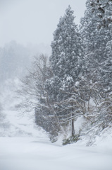 雪降り日