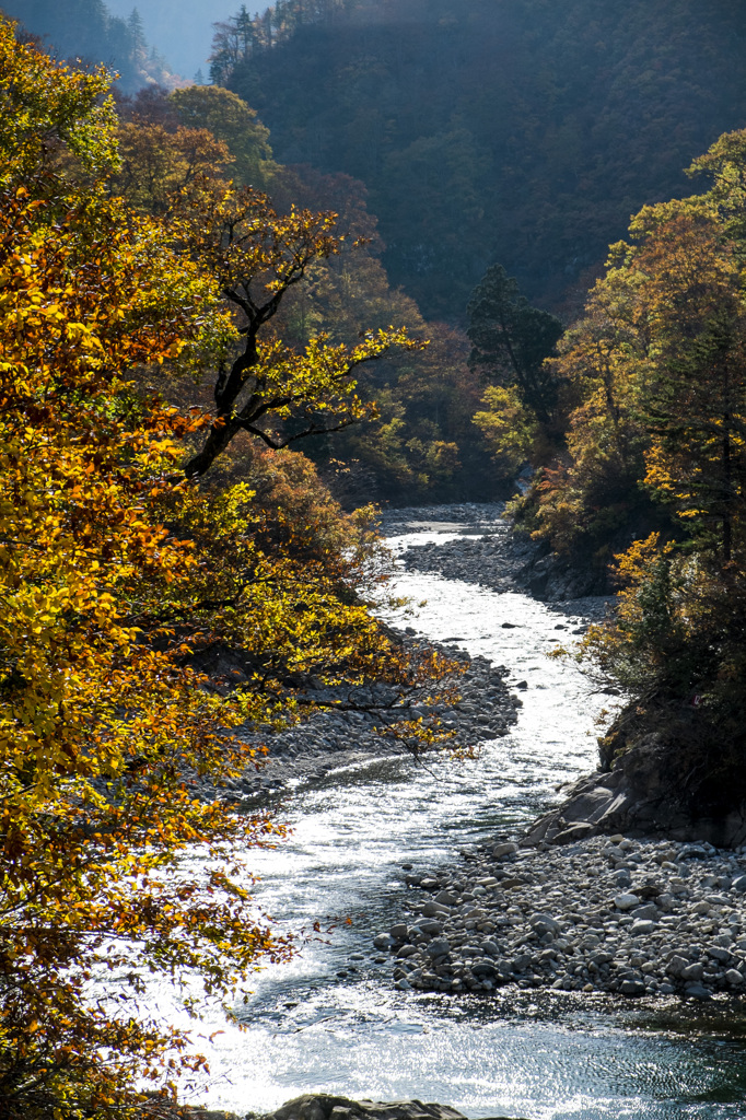 清流の紅葉