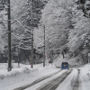 雪道