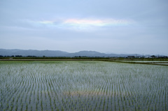 彩雲出現