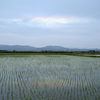 彩雲出現