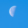 朝の半月