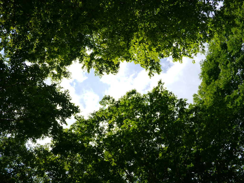 空間