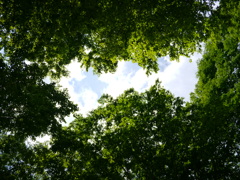 空間