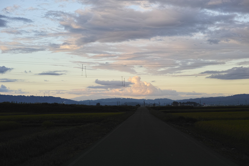 今朝の風景Ⅳ