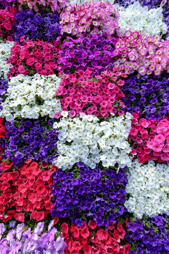 花パッチワーク