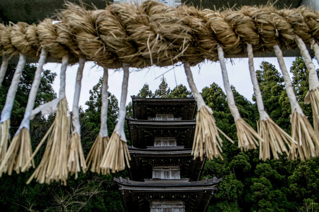 初詣