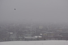 雪解けの霧