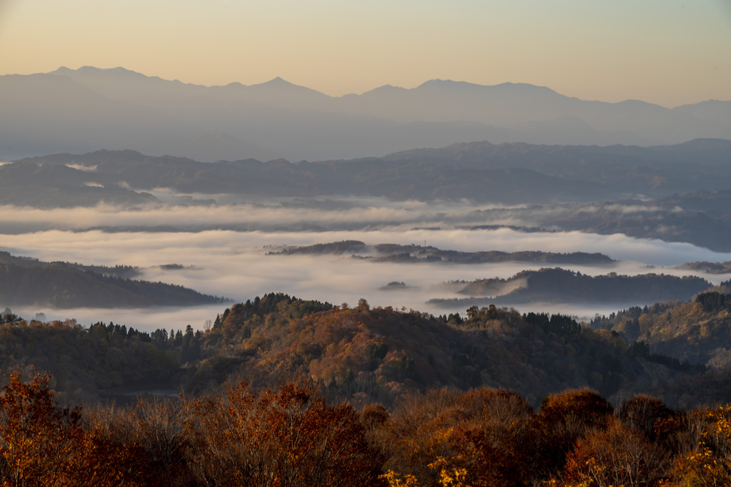 紅葉と雲海