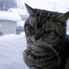 外は雪