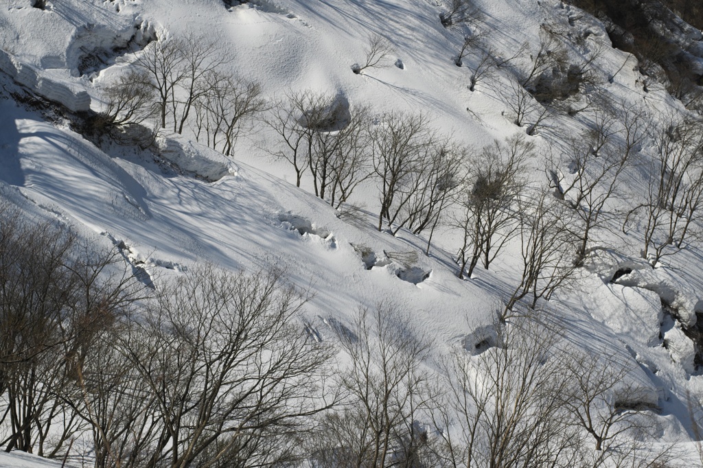 雪の斜面