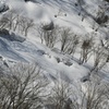 雪の斜面