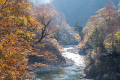 紅葉の清流