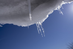 雪庇