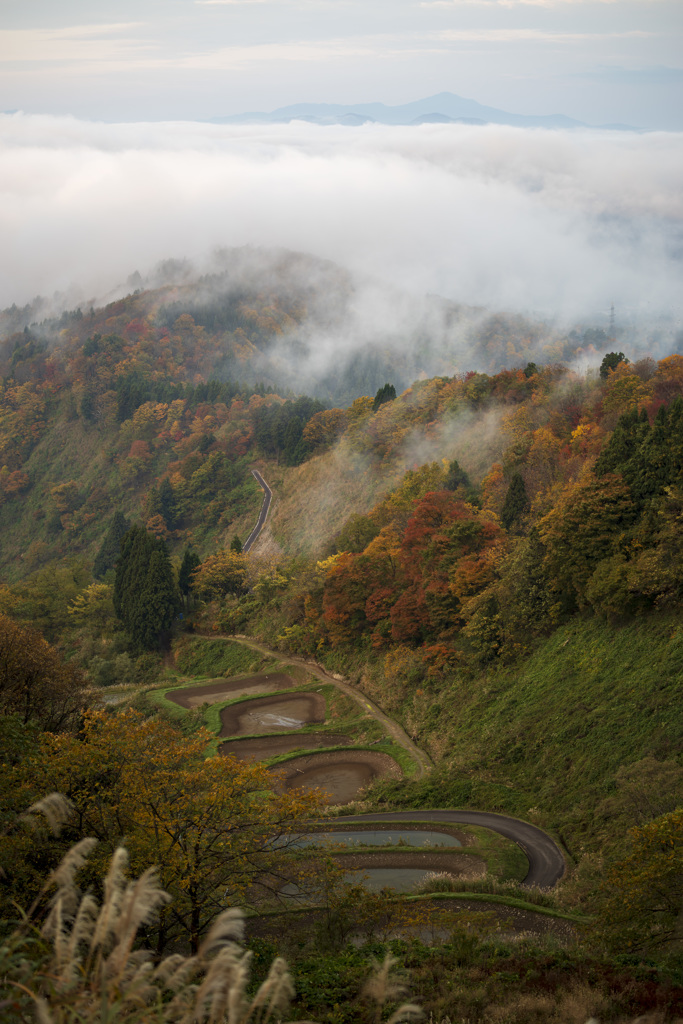 雲海と紅葉の山