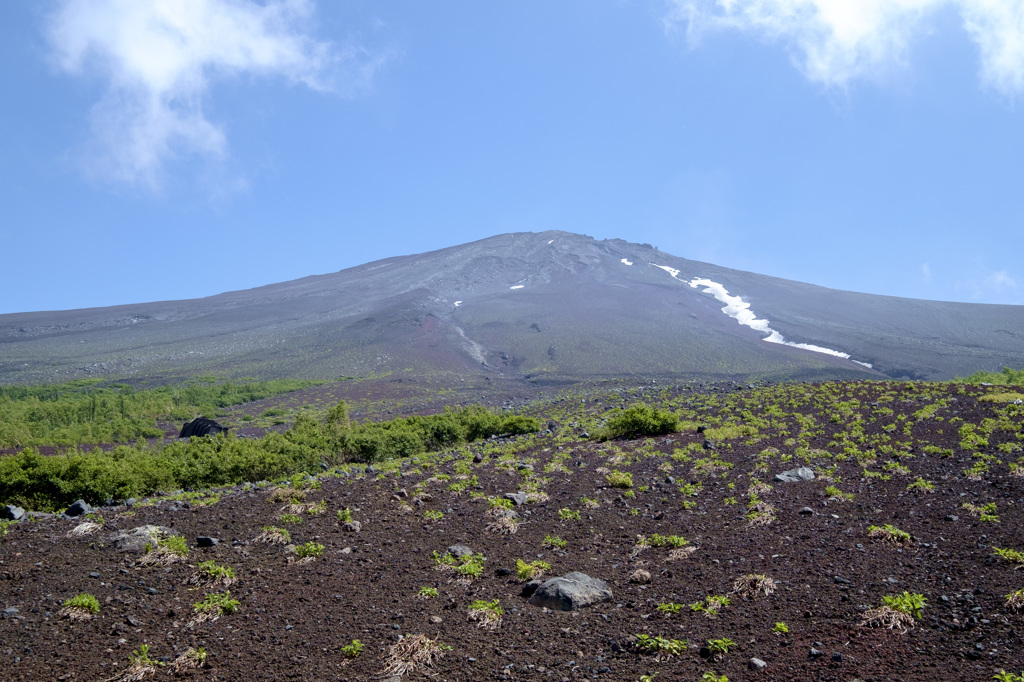 富士山は遠くに在りて思うもの！