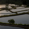 養鯉池