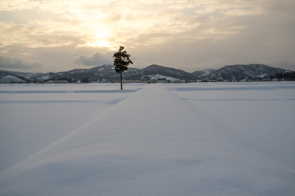 除雪前の農道