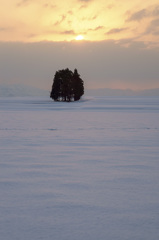 雪原を照らす