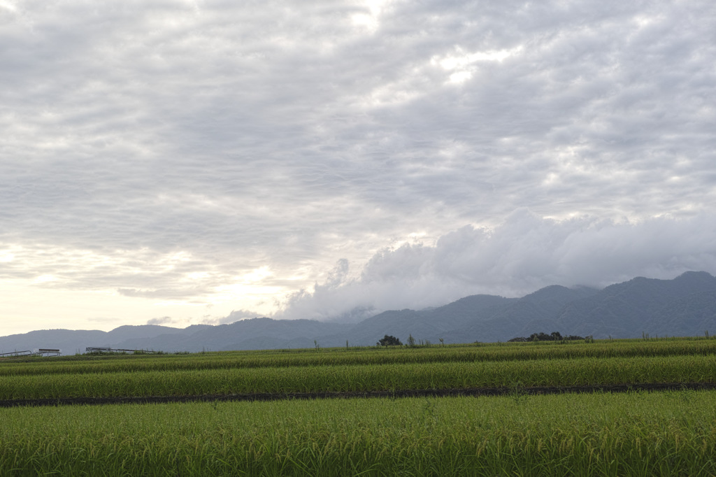 今朝の風景