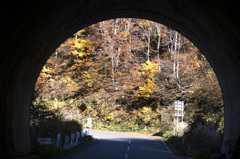 トンネルからの紅葉