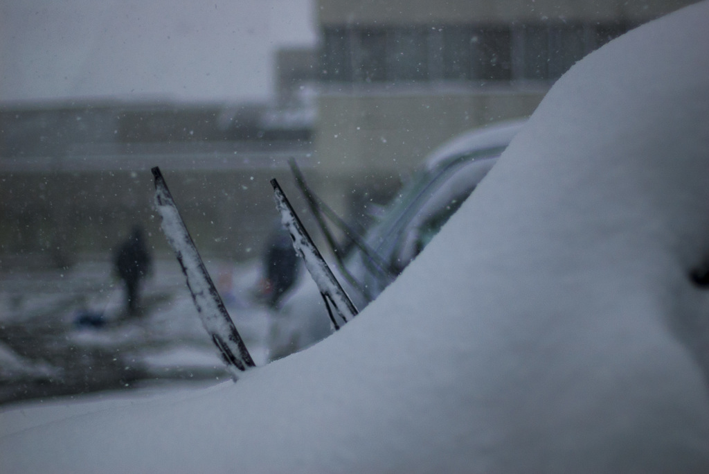 雪に埋もれて