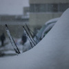 雪に埋もれて