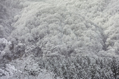 山林の雪景